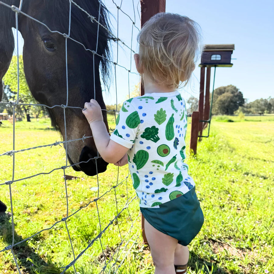 Hickory Diaper Covers