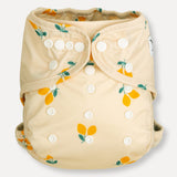 Single Cover Diaper