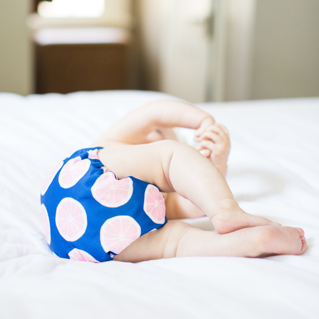 The Bee's Knees 4 Pack of Reusable Cloth Diapers – Nora's Nursery