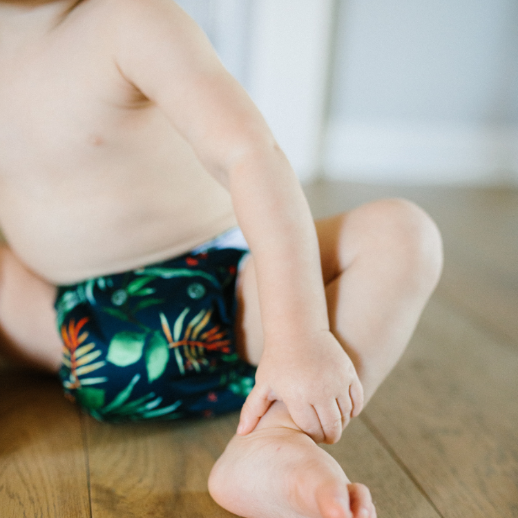 The Hollywood Hotel 4 Pack of Reusable Cloth Diapers Nora's Nursery